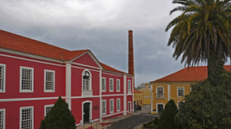 noticias leiria 13