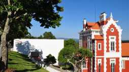 noticias leiria 8