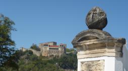 p1030058